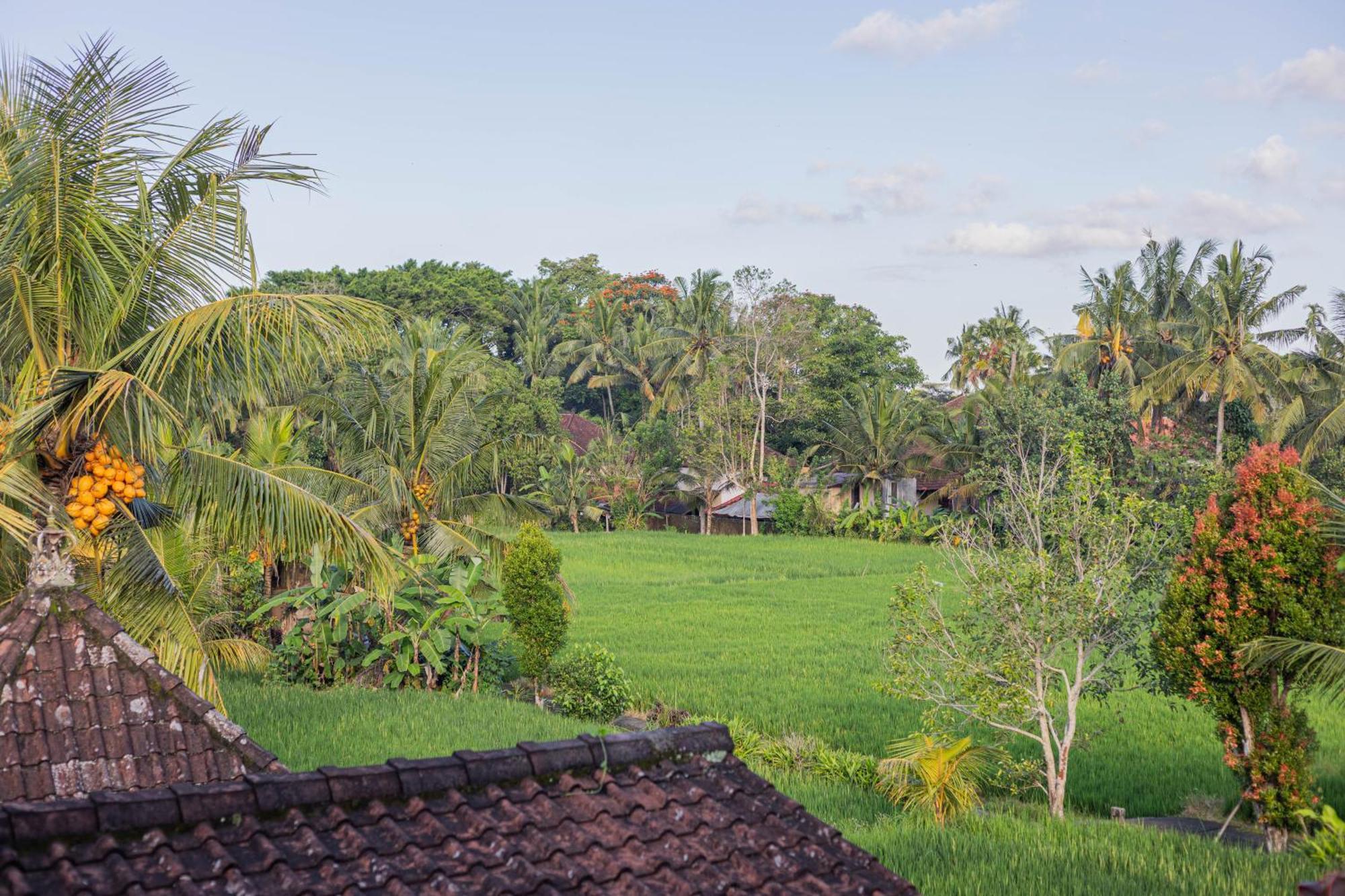 Sari Bamboo Bungalows Ubud Habitación foto